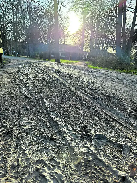 Die Wege im Stadtpark sind zum Teil mit einer Schlammschicht überzogen  | Foto: pau