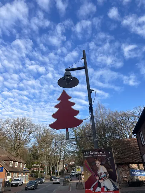 Ganz besondere Weihnachtsbeleuchtung: In Jesteburg hängen beleuchtete Holzbäumchen an vielen Laternen | Foto: BGV
