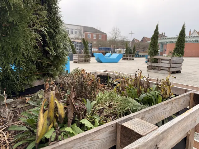 Der Stader "Ankerplatz" Anfang Dezember 2025: Er soll laut Politik "ein Ort der Begegnung, der Kommunikation und der Gemeinschaft" werden - "jedoch in zeitgemäßer Form" | Foto: Malte Neumann