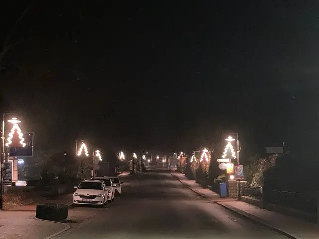 Die kleinen Bäumchen vermitteln in Jesteburgs Straßen vorweihnachtliche Stimmung | Foto: BGV