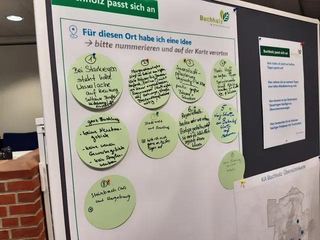 An Stellwänden sammelten die Teilnehmerinnen und Teilnehmer Hinweise zu Hitze, Starkregen und weiteren Klimafolgen sowie Erwartungen an das Klimaanpassungskonzept der Stadt | Foto: Stadt Buchholz