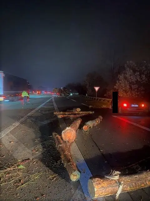 Holzstämme auf der Fahrbahn am Maschener Kreuz | Foto: Polizeiinspektion_Harburg