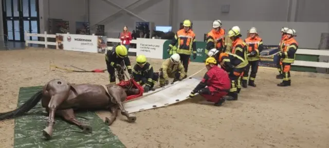 Freiwillige Feuerwehr Moor zeigt technische Pferderettung live mit Pferdedummy "Hope" | Foto:  Freiwillige_Feuerwehr_Moor