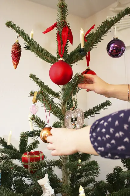 Einen heimeligen Familien-Weihnachtsmarkt veranstaltet der TSV Buchholz 08 | Foto: VNWB