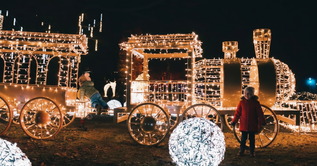 Eine leuchtende Eisenbahn ist unter anderem Teil der funkelnden Lichtinstallationen von LUMAGICA und entführt die Besucherinnen und Besucher im Wildpark Schwarze Berge auf eine stimmungsvolle Reise durch fantasievolle Welten | Foto: Wildpark Schwarze Berge
