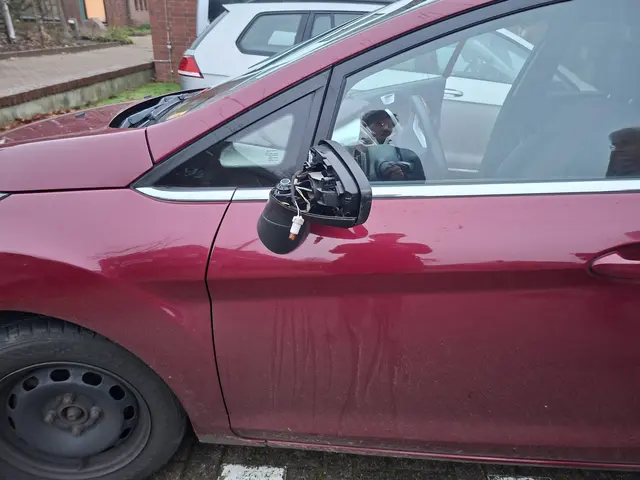 Der beschädigte Ford Fiesta

 | Foto: Polizei