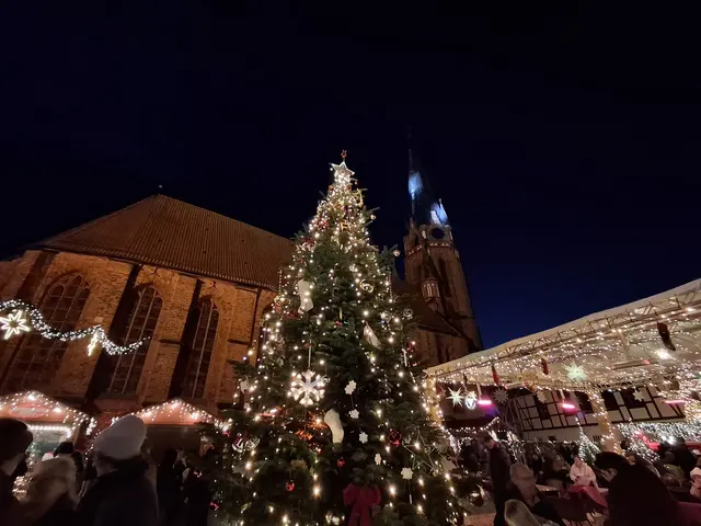 Noch bis 4. Januar dauert das Winsener Wintervergnügen an | Foto: Anika Werner
