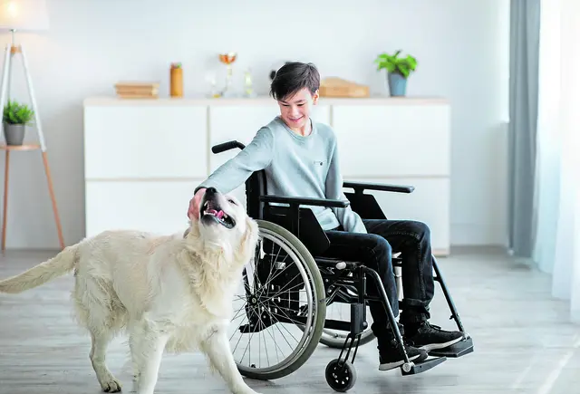 Junge Menschen mit Behinderung werden ab 2026 im Landkreis Stade komplett aus einer Hand betreut | Foto: AdobeStock/Prostock-studio