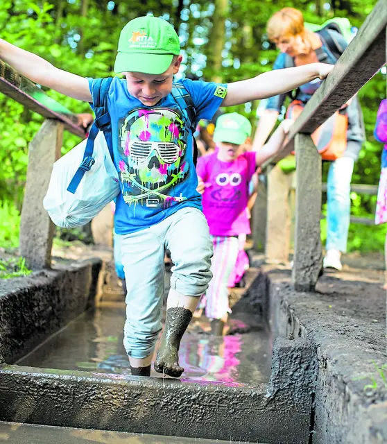 Es gibt viele touristische Ziele in der Heide: Der Barfußpark in Egestorf wird von Familien gerne besucht | Foto: Barfußpark Lüneburger Heide