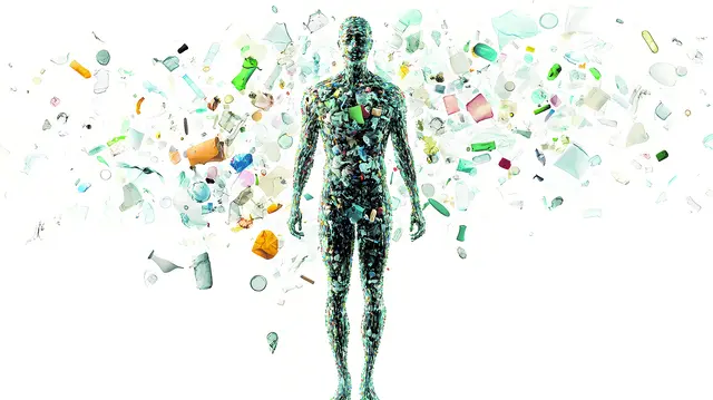 Mikroplastik kann durch die Ernährung in unsere Körper gelangen | Foto: adobestock@Thiago