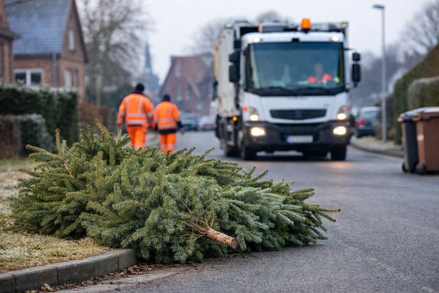 Im Landkreis Stade werden im Januar wieder die ausrangierten Weihnachtsbäume abgeholt | Foto: KI-generiert