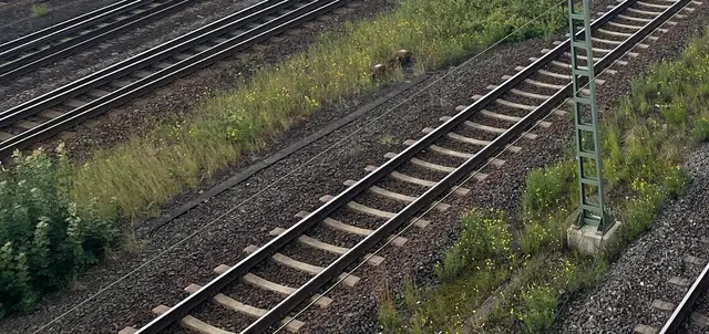 Bahngleise / Symbolbild | Foto: sra