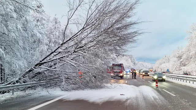 Gleich zwei Fahrstreifen blockierte ein durch die Schneelast umgestürzter Baum auf der A7 bei Garlstorf | Foto: Mathias Wille/KPW Harburg