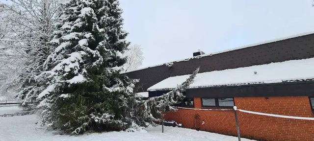 Am Feuerwehrhaus in Fleestedt kippte eine Tanne durch die Schneelast auf das Dach des Gebäudes | Foto: Timo Bamberger