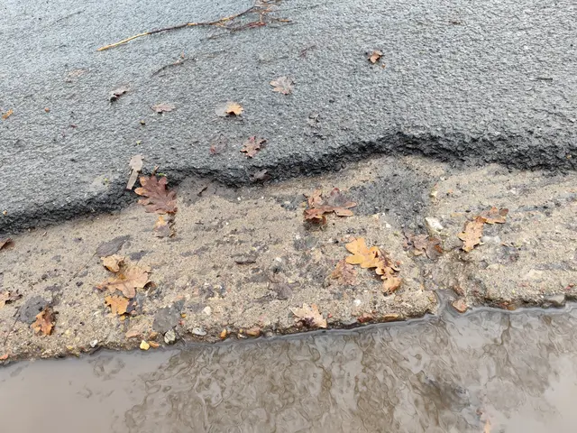 So sehen die Kanten auf vielen Metern aus. | Foto: Rüdiger Störtebecker