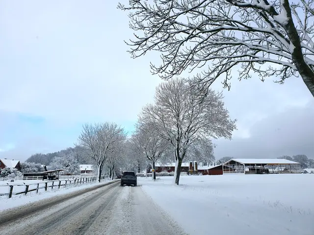 Oftmals sind nur noch befahrene Straßen sichtbar, wie hier in Klecken - der Rest der Umgebung versteckt sich unter einer weißen Decke | Foto: jvp