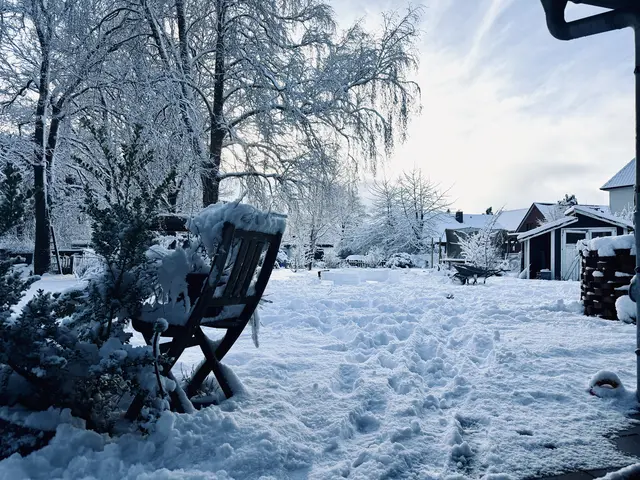 Schneebedeckte Gärten - weiß und wunderschön | Foto: tml