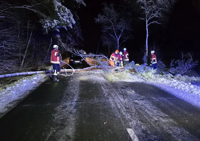 Auf der K30 zwischen Raven und Evendorf stürzte eine Kiefer auf einen Skoda | Foto: Pressestelle Feuerwehr Samtgemeinde Hanstedt