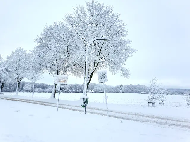 Straßen, Felder und Bäume verschmelzen zu einer wunderschönen Winterlandschaft -  hier der Ortseingang Bendestorf | Foto: jvp
