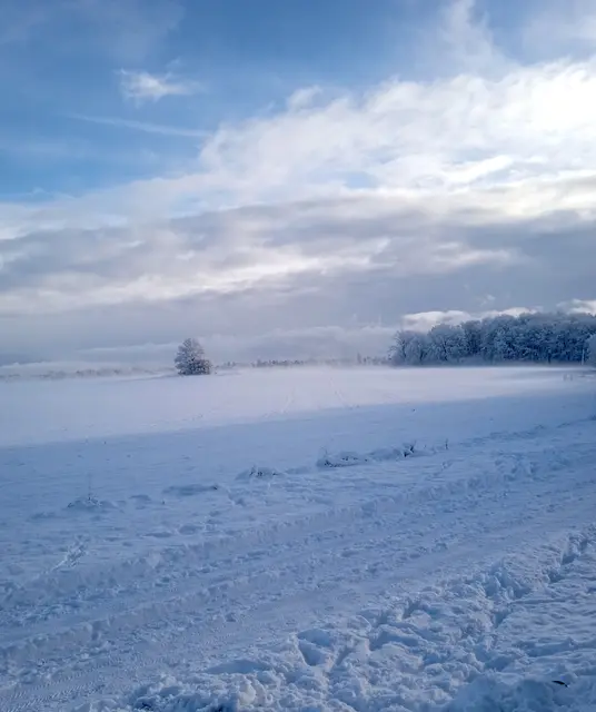 Der Schnee beschert uns kontrastreiche Landschaften | Foto: Rainer Guelzow