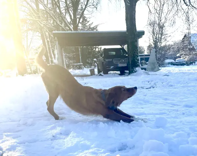 Sonnenschein und Schnee - besser geht´s nicht | Foto: Mia Sophie Lüecke