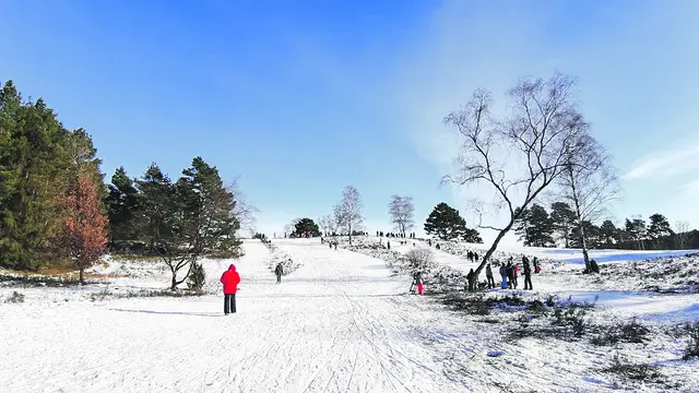 Seltenes Vergnügen: Nicht alle können nachvollziehen, dass der Winter auch mal fröhliche Seiten haben kann | Foto: Untersaenger