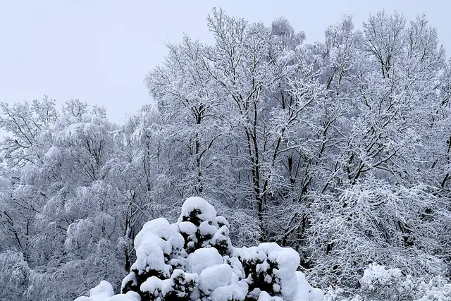 Des einen Freud, des anderen Leid. Ein romantischer Wohnzimmerausblick | Foto: Dieter Matthe, Garstedt