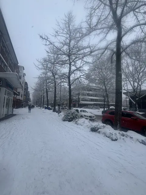 Buxtehude im Schnee | Foto: Stefanie Schimanski