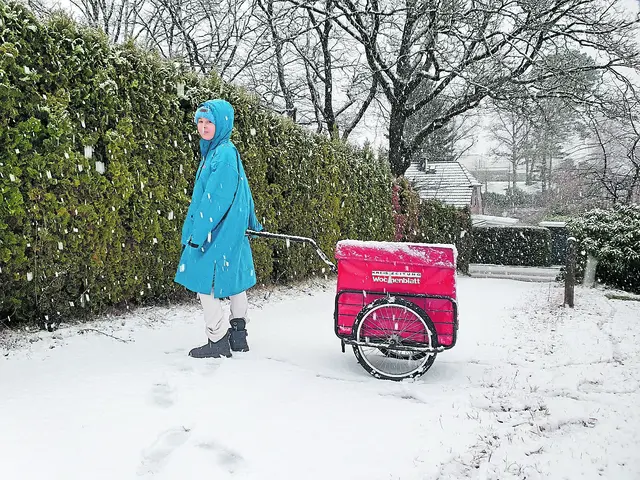 Unsere Austrägerinnen und Austräger scheuen weder Wind noch Wetter | Foto: jvp