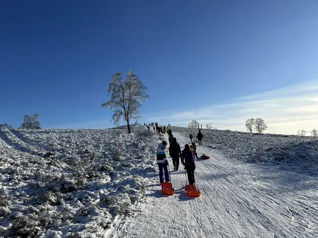 Bei aller Freunde an den lange nicht dagewesenen Schneemassen bittet die Untere Naturschutzbehörde der Kreisverwaltung eindringlich darum, im Büsenbachtal und am Brunsberg die Rücksichtnahme auf die Natur nicht zu vergessen. | Foto: Landkreis Harburg