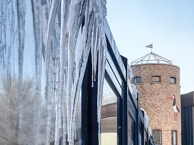 Das Natureum öffnet wieder am 17. Januar. | Foto: Jothe/Natureum