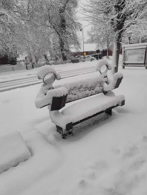 Lädt zum Ausruhen ein. 
Gesendet über WhatsApp  | Foto: Brigitte S.