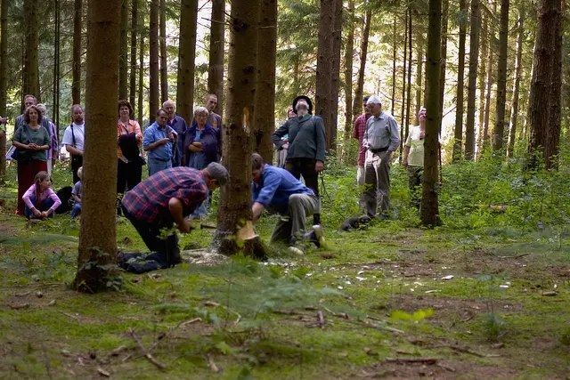 Waldarbeiten wie anno dazumal im Rahmen des 900-jährigen Jubiläums von Rüstje | Foto: Heimatverein Helmste