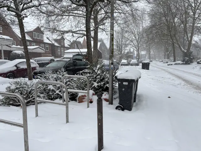 Auch in Buxtehude bleiben die Weihnachtsbäume und Mülltonnen heute stehen | Foto: pau