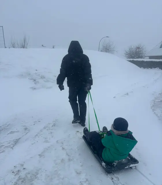 Das aktuell beste Transportmittel: ein Schlitten | Foto: Stefanie Schimanski