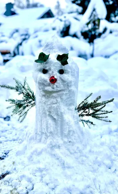 gesendet über unseren WhatsApp Channel | Foto: Bert Dessau aus Bedensdorf