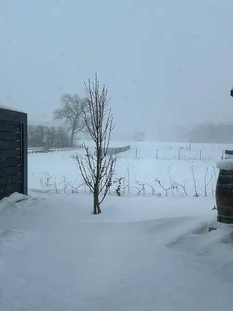 Beckdorf: gesendet über unseren WhatsApp Channel | Foto: Rita Carl