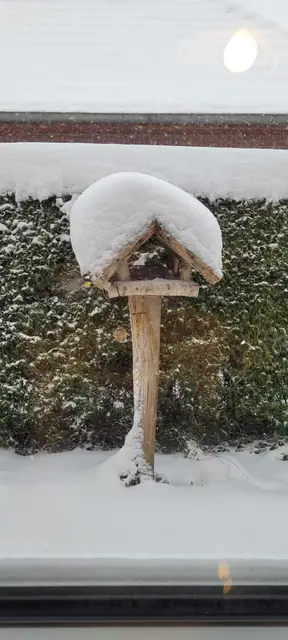 Drinnen ist es gemütlich lautet der Kommentar vom Susanne  | Foto: Susanne aus Tostedt
