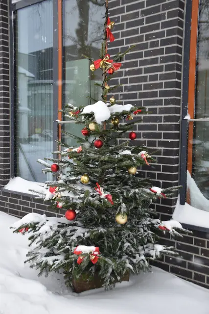 Der Weihnachtsbaum vor der Hamburger Sparkasse | Foto: Axel-Holger Haase