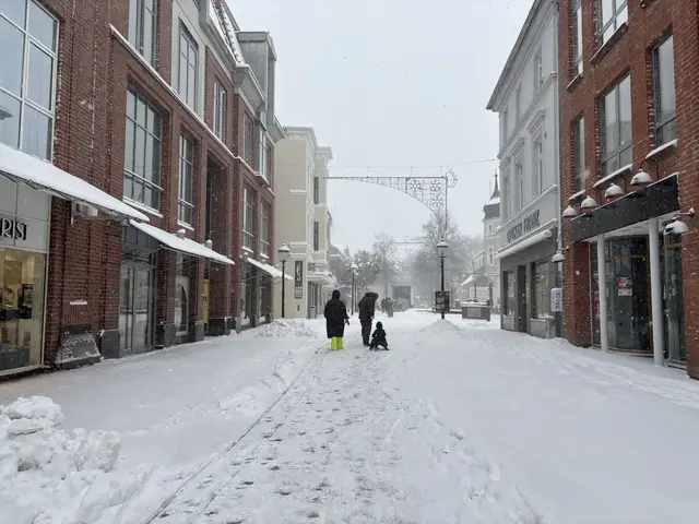 Buxtehude am Freitag: Stackmann ist wegen der Witterungsverhältnisse geschlossen, die innenstadt wirkt wie ausgestorben | Foto: Pauline Bellmenn