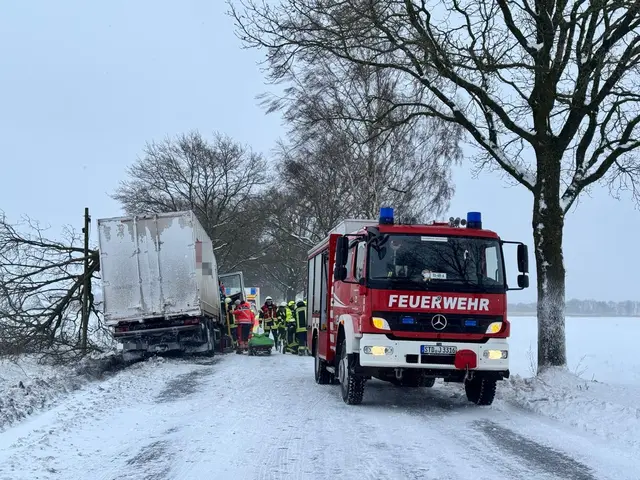 Ein LKW prallt zwischen Ohrensen und Issendorf gegen einen Baum | Foto: Polizei