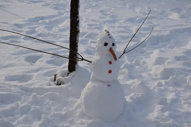 Buchholz - Am Radegang: Es kommt nicht immer auf die Größe an  | Foto: Axel-Holger Haase