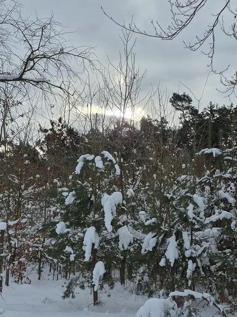 Silberstreif: Am Samstagvormittag kam sogar kurz die Sonne durch | Foto: pöp