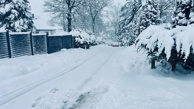gesendet per WhatsApp aus Bendesdorf | Foto: Bert Dessau