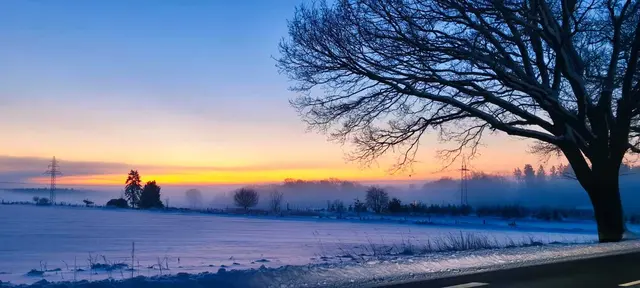 Fotografiert am Sonntagmorgen zwischen Dibberrsen und Buchholz | Foto: Günter Erbts