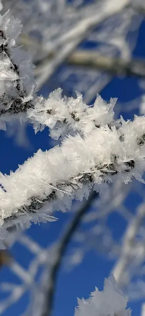 Ein Träumchen dieses Wetter | Foto: Sven Diercks
