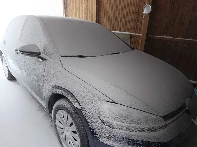 Impressionen aus Dibbersen
Das Auto mal anders "lackiert" | Foto: Monika Dibbersen