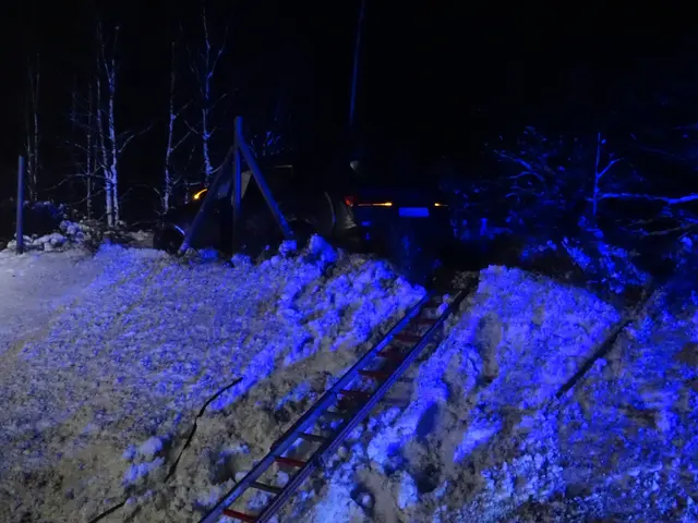 Das zweite Fahrzeug wurde eine etwa 3 Meter hohe Böschung hinaufgeschleudert und durchbrach
einen Zaun | Foto: FF_SG_Hanstedt