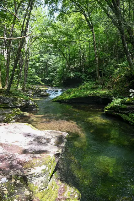 Innovationen rund um Flußläufe werden gesucht | Foto: Jacqann 99