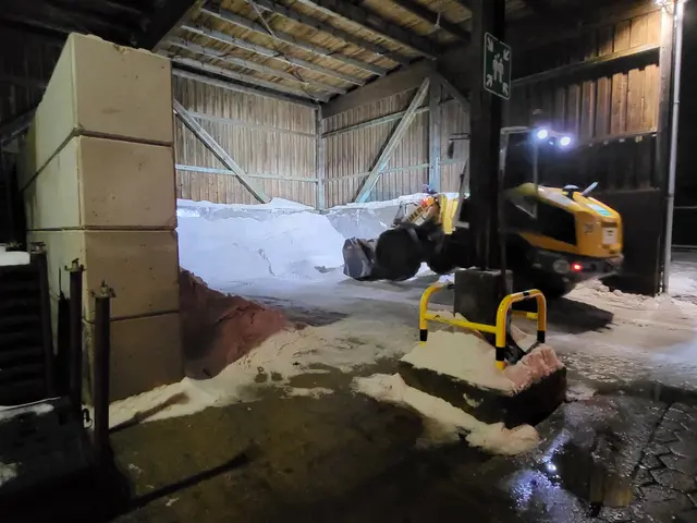 Viel Streusalz ist nicht mehr da. Wenn das Lager voll ist, ist es bis unter das Dach befüllt | Foto: sh